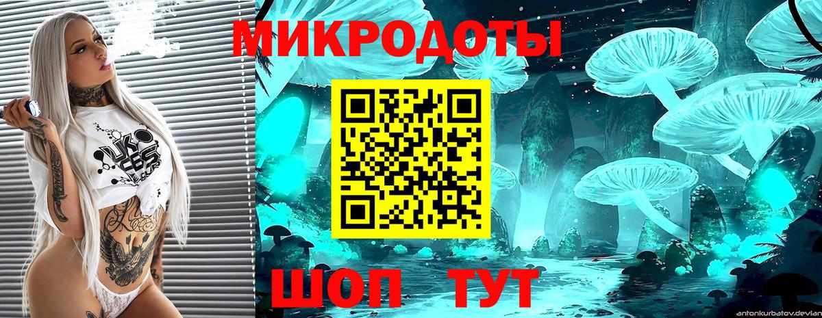 Псилоцибиновые грибы Psilocybine cubensis Ирбит
