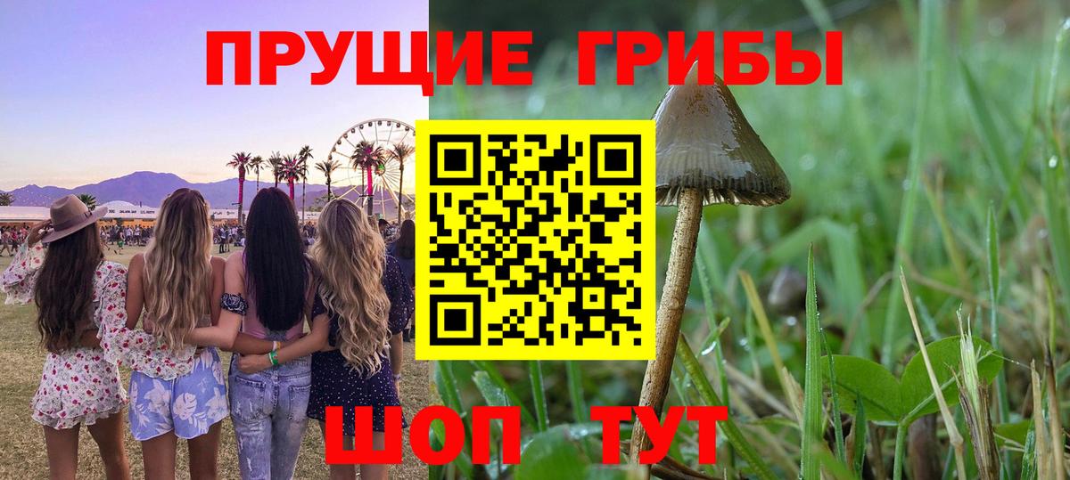 Псилоцибиновые грибы Cubensis  Псилоцибиновые грибы GOLDEN TEACHER  Вход с VPN  Ирбит 